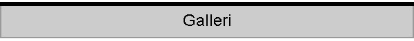 Galleri